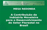 A contribuição da Indústria Moveleira para o desenvolvimento do Setor Florestal no Brasil, Roberto Szachnowicz - Satipel