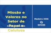 A Indústria Brasileira de Celulose e Papel, por Luiz Cornachioni, Gerente de Planejamento e Desenvolvimento da Suzano Papel e Celulose