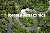 Floresta amazônica 6ª serie