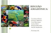Região amazônica