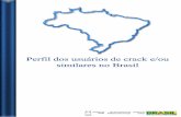 Perfil dos usuários de crack e/ou similares no Brasil