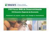 Financiamento aos pequenos negócios como estratégia de desenvolvimento - BNDES
