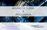 Características da Agricultura e Pecuária