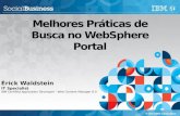 Melhores Praticas de Busca WebSphere Portal 8