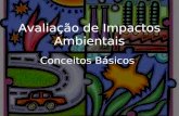 Avaliação de Impactos Ambientais - 3 - conceitos básicos