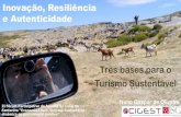 Inovação, Resiliência e Autenticidade - Três Bases para o Turismo Sustentável