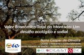 Valor Economico Total do Montado (FICOR 2012)
