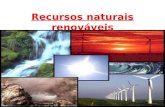 recursos naturais