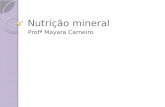 Nutrição mineral