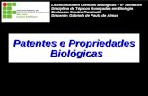 Patentes e Propriedades Biológicas
