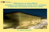 Bibliotecas na vida digital, de Dr. Klaus Ceynowa