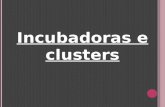 Clusters e incubadoras