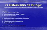 O sistemismo de Bunge: fundamentos, abordagem metodológica e aplicação a sistemas de informação