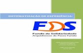 Sistematização FDS Passo Fundo