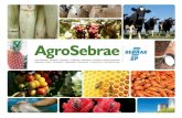 Programa AgroSebrae melhora a competitividade de produtores rurais