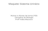 Trab maquete sis_urinario_2s5_professora_katia