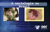 A sociologia no brasil