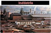 Industrializa§£o do brasil