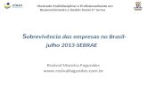 Sobrevivência das empresas no brasil