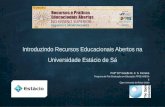 Semiário Recursos e Práticas Educacionais Abertas no Ensino Superior: desafios e oportunidades - Giselle Ferreira