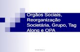 Orgãos Sociais, Reorganização Societária, Grupo, Tag Along e Opa