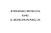 10 - Principios de Liderança