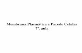 Biologia - Membrana Plasmática - Parede Celular