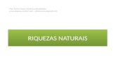 Atualidades - Riquezas Naturais - Amazônia