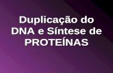 Duplicação  DNA sintese de proteinas