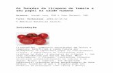 As funções do licopeno do tomate e seu papel na saúde humana