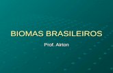 Geografia PPT - Biomas Brasileiros