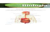 Biologia - Sistema Digestório II