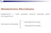 Aula 3 - Metabolismo Microbiano