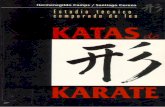 Estudo Técnico Comparado Dos Katas Do Karate