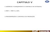 Slides Capitulo 5