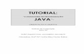 Informática - Curso Java - A Linguagem de Programação Java - Orientação e Objetos