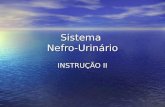 SNU4 Instrução Nefro Urinário II