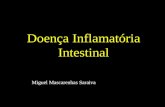Doença Inflamatoria Intestinal