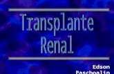 Transplante Renal