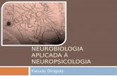Neurobiologia aplicada à Neuropsicologia