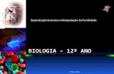 Biologia – 12º Ano (Mecanismos Que Controlam o to Embrionário - Parto)