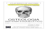 Apostila Anatomia - Sistema Esquelético