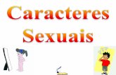Caracteres Sexuais