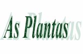 Constituição das plantas
