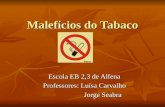 Malefícios do Tabaco Ricardo 6ºA Nº24