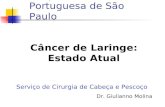 Aula Câncer de Laringe-Dr Giulianno Molina HBP