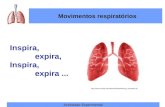 Actividade Experimental 2- Movimentos Respiratorios