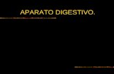 APARATO DIGESTIVO -> Futura Médica