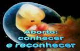 Slides Sobre Aborto (Palestra)