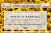 AGRICULTURA GERAL E MÁQUINAS AGRICOLAS II - Apresentação (girassol de multiplicação)